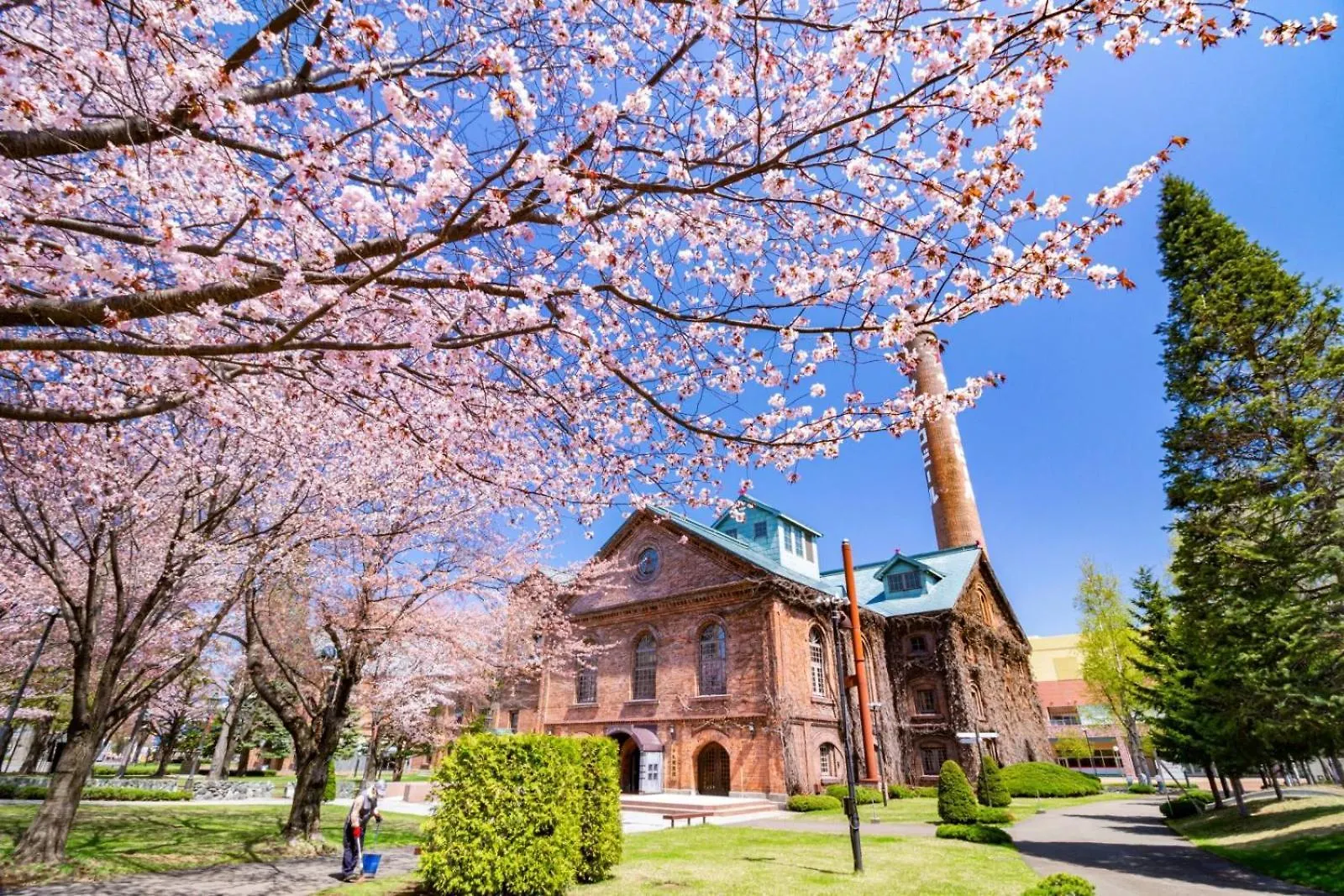 Hotel Sunroute Sapporo